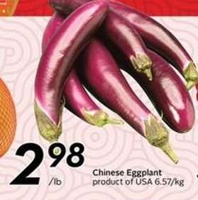 CHINESE EGGPLANT