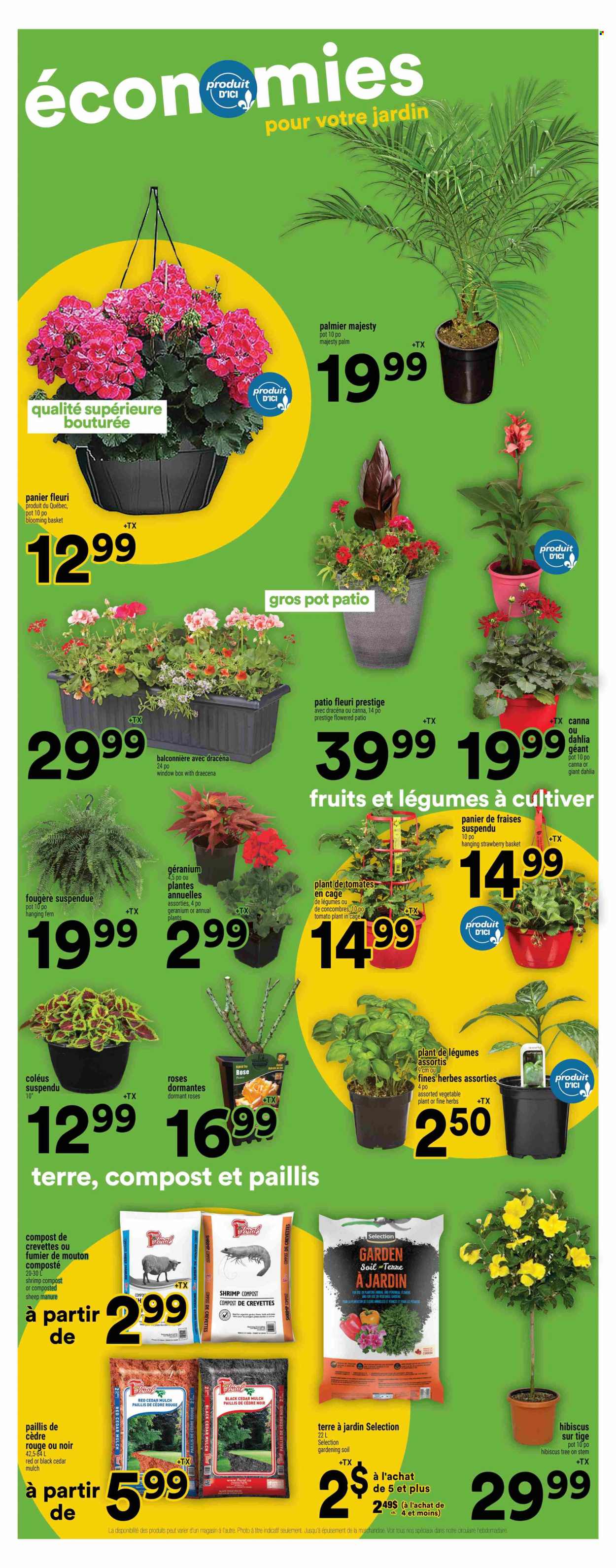 Super C flyer - June 12, 2025 - June 18, 2025. Page 15