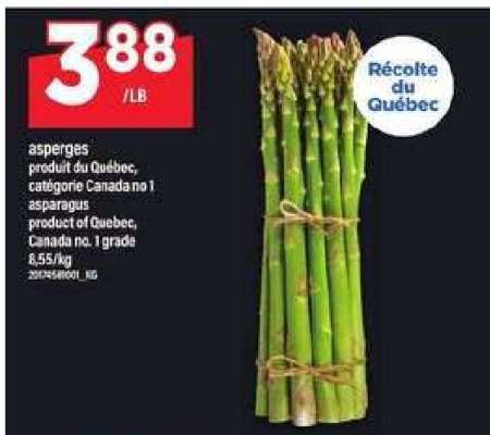 ASPERGES