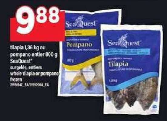SeaQuest Tilapia or Pompano