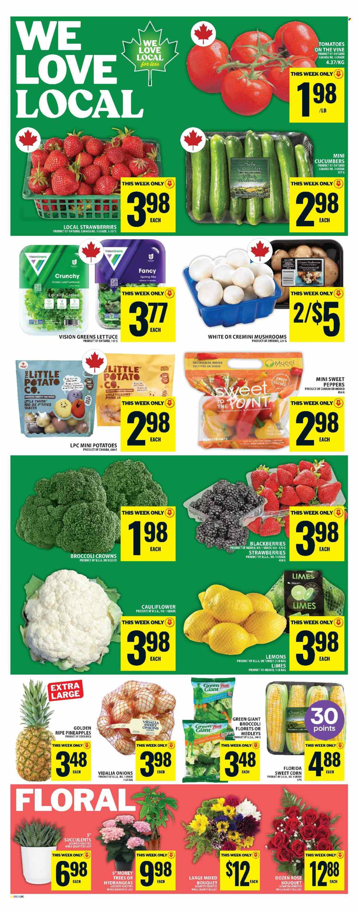 Food Basics flyer - June 12, 2025 - June 18, 2025. Page 10