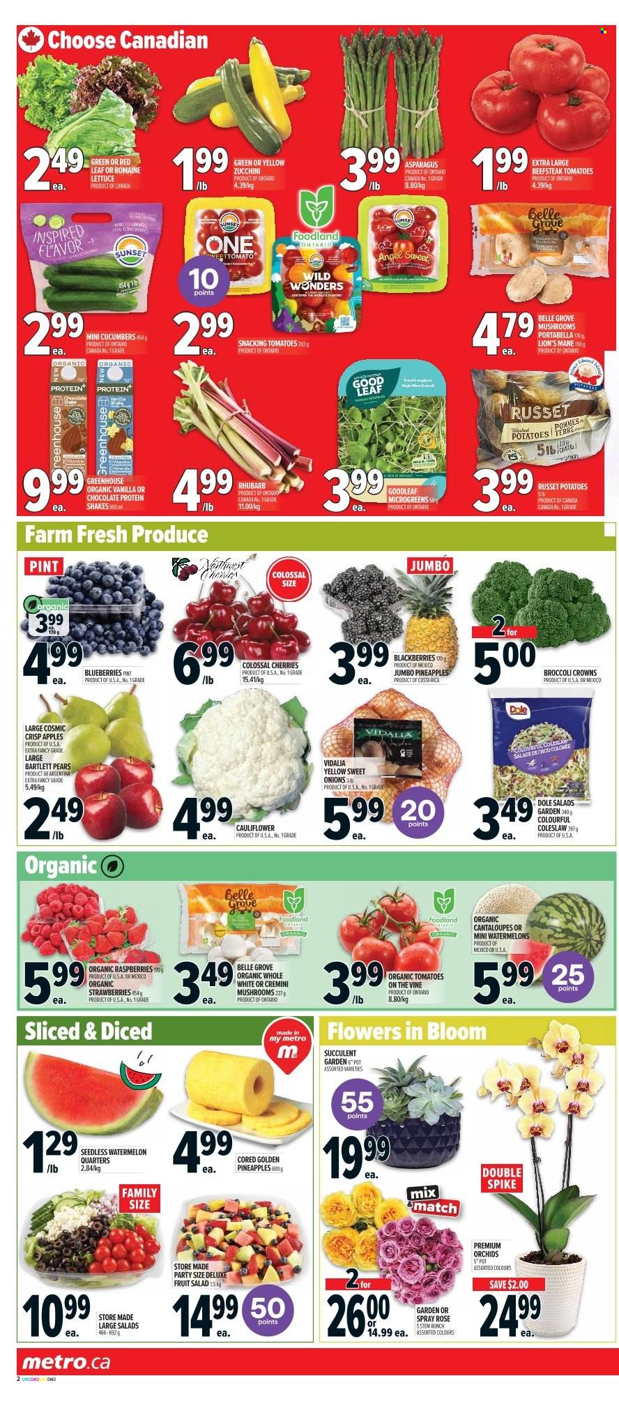 Metro flyer - June 12, 2025 - June 18, 2025. Page 5