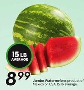 Jumbo Watermelons