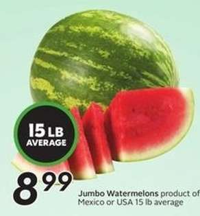 Jumbo Watermelons