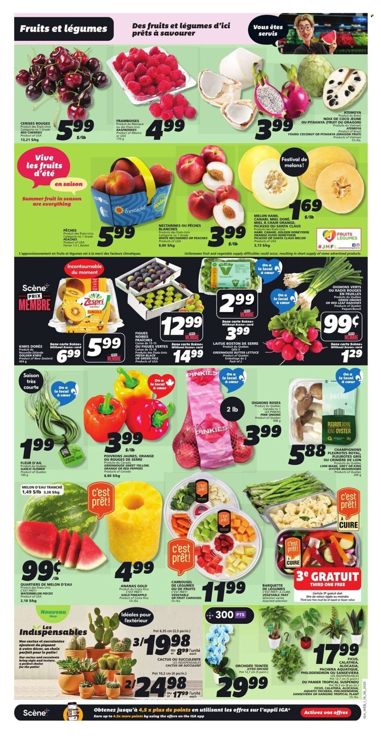 IGA flyer - June 19, 2025 - June 25, 2025. Page 5