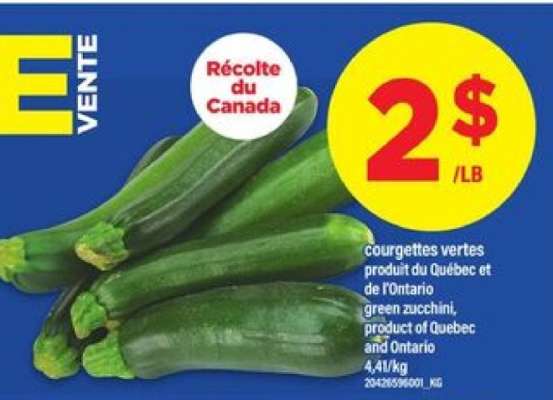 COURGETTES VERTES