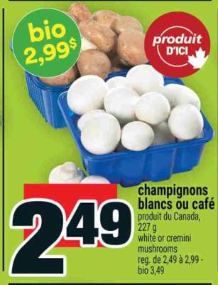 Champignons blancs ou café