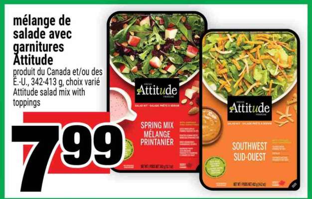 MÉLANGE DE SALADE AVEC GARNITURES ATTITUDE