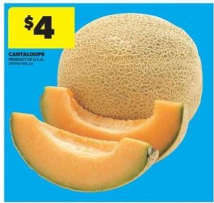 CANTALOUPE