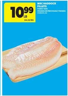 MSC Haddock Fillets