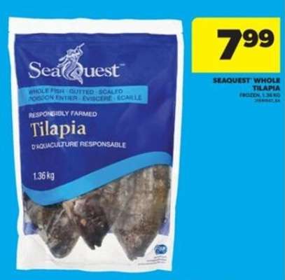 Seaquest Whole Tilapia