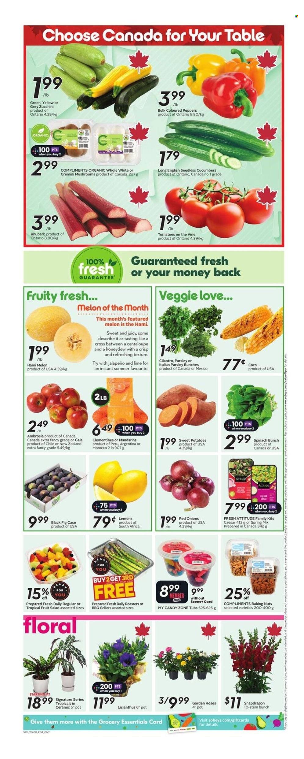 Sobeys flyer - June 19, 2025 - June 25, 2025. Page 6
