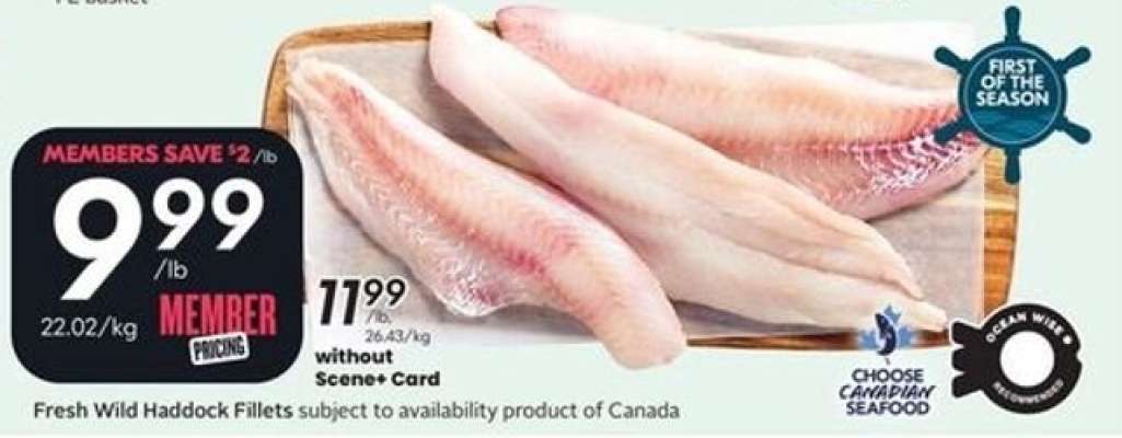 Fresh Wild Haddock Fillets