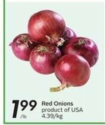 RED ONIONS