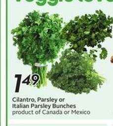 Cilantro, Parsley or Italian Parsley Bunches