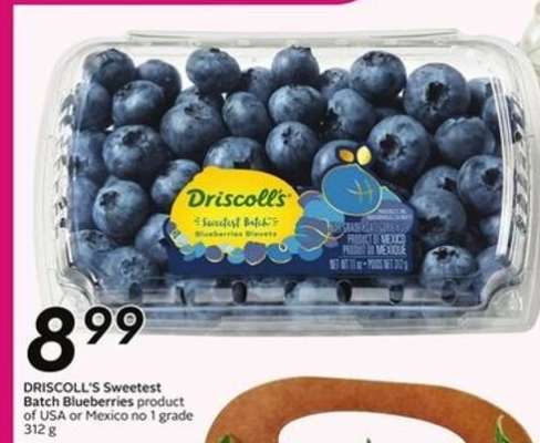 DRISCOLL'S Sweetest Batch Blueberries