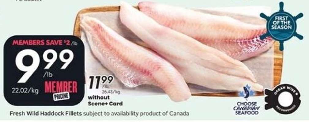 Fresh Wild Haddock Fillets