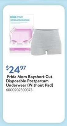 Frida Mom Boyshort Cut Disposable Postpartum Underwear (Without Pad)