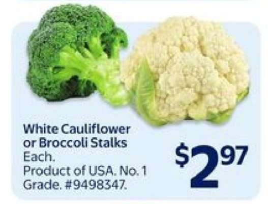 White Cauliflower or Broccoli Stalks