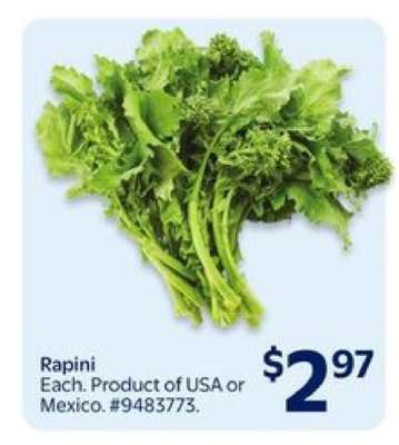 RAPINI