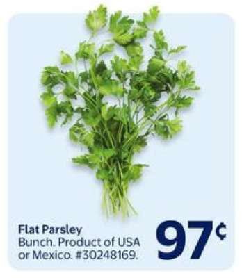Flat Parsley