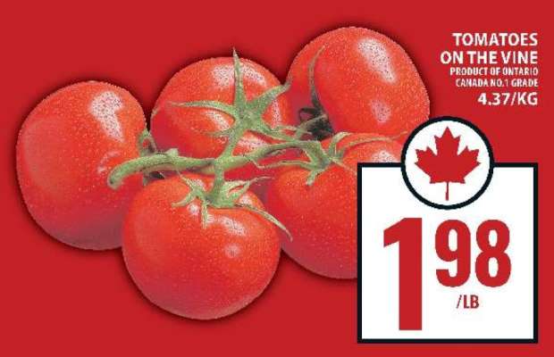 TOMATOES ON THE VINE