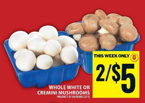 WHOLE WHITE OR CREMINI MUSHROOMS