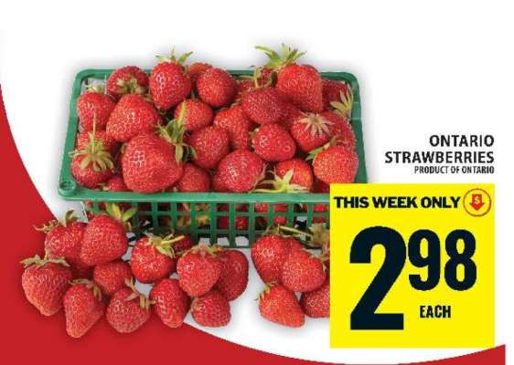 Ontario Strawberries