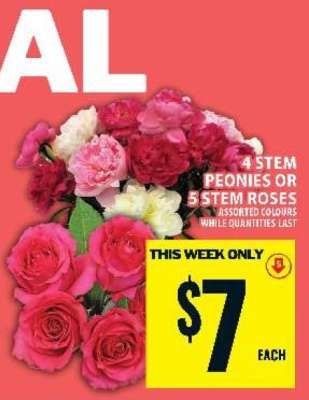 4 Stem Peonies or 5 Stem Roses
