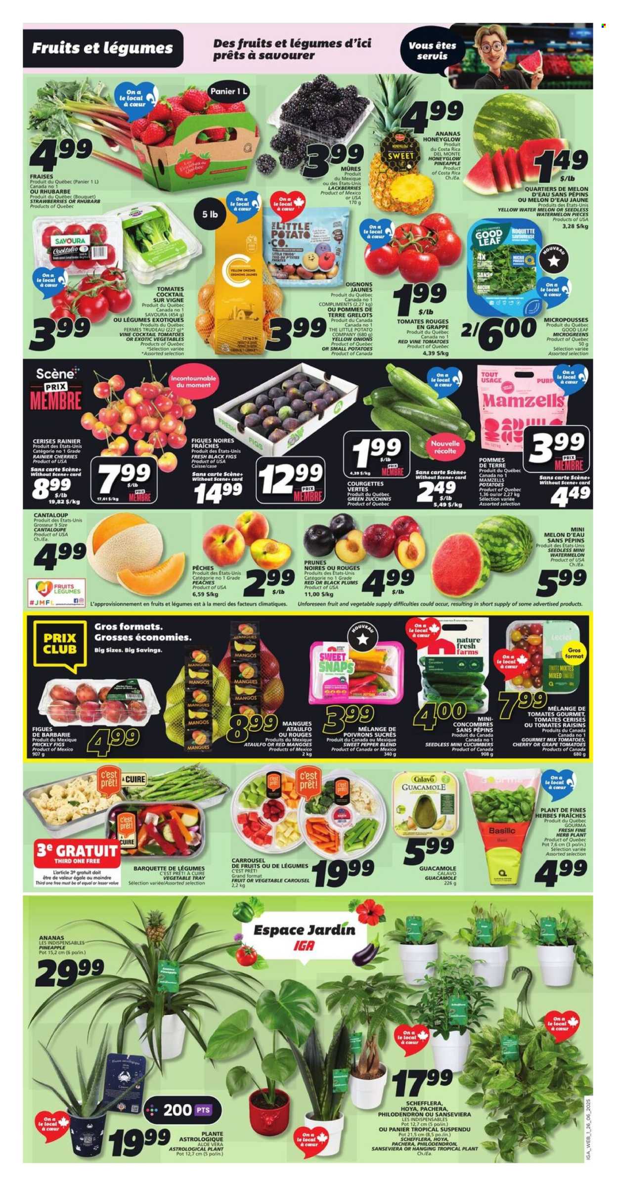 IGA flyer - June 26, 2025 - July 02, 2025. Page 3