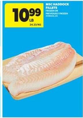 MSC Haddock Fillets