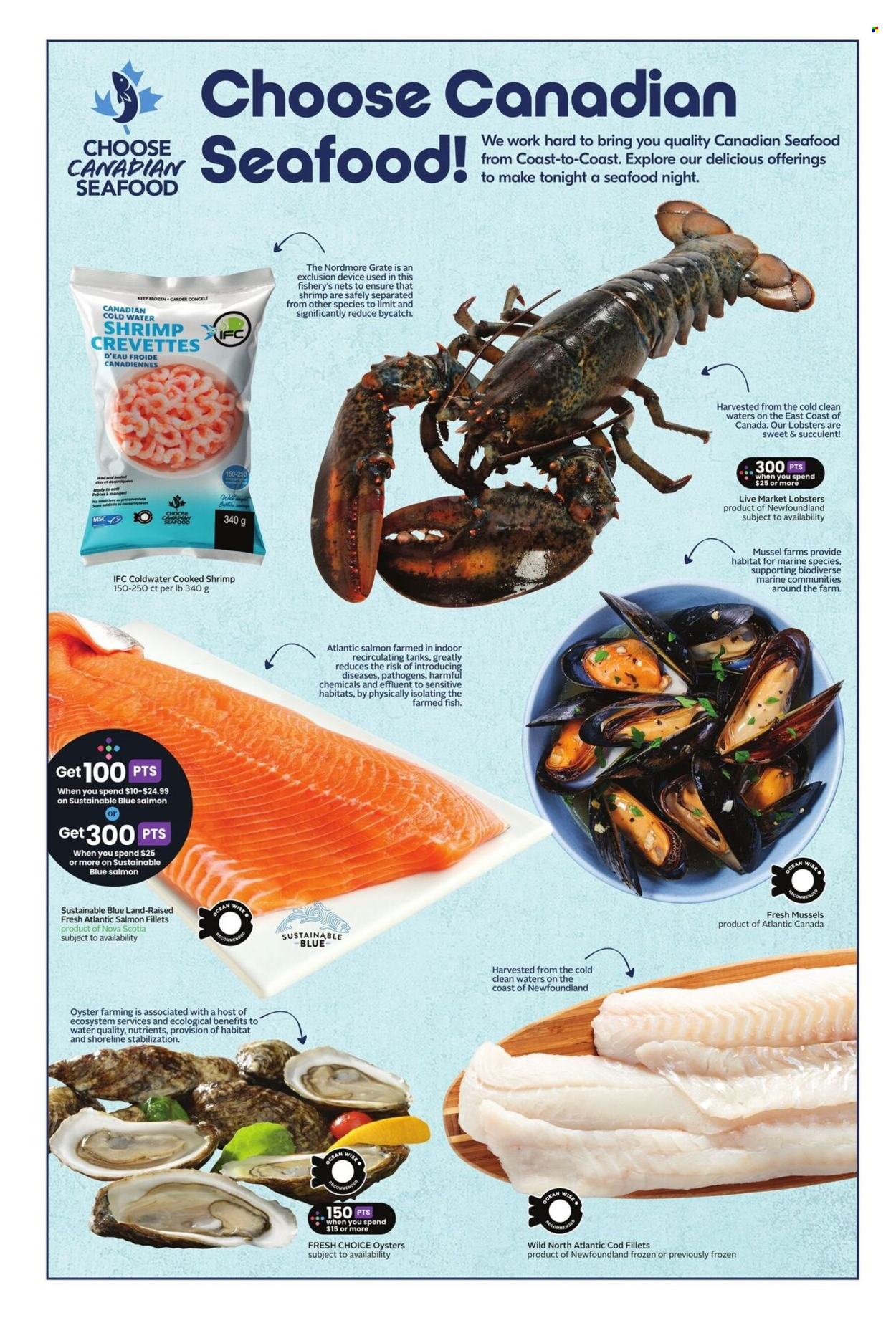 Sobeys flyer - June 26, 2025 - July 02, 2025. Page 16