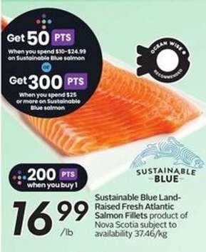 SUSTAINABLE BLUE Land Raised Fresh Atlantic Salmon Fillets
