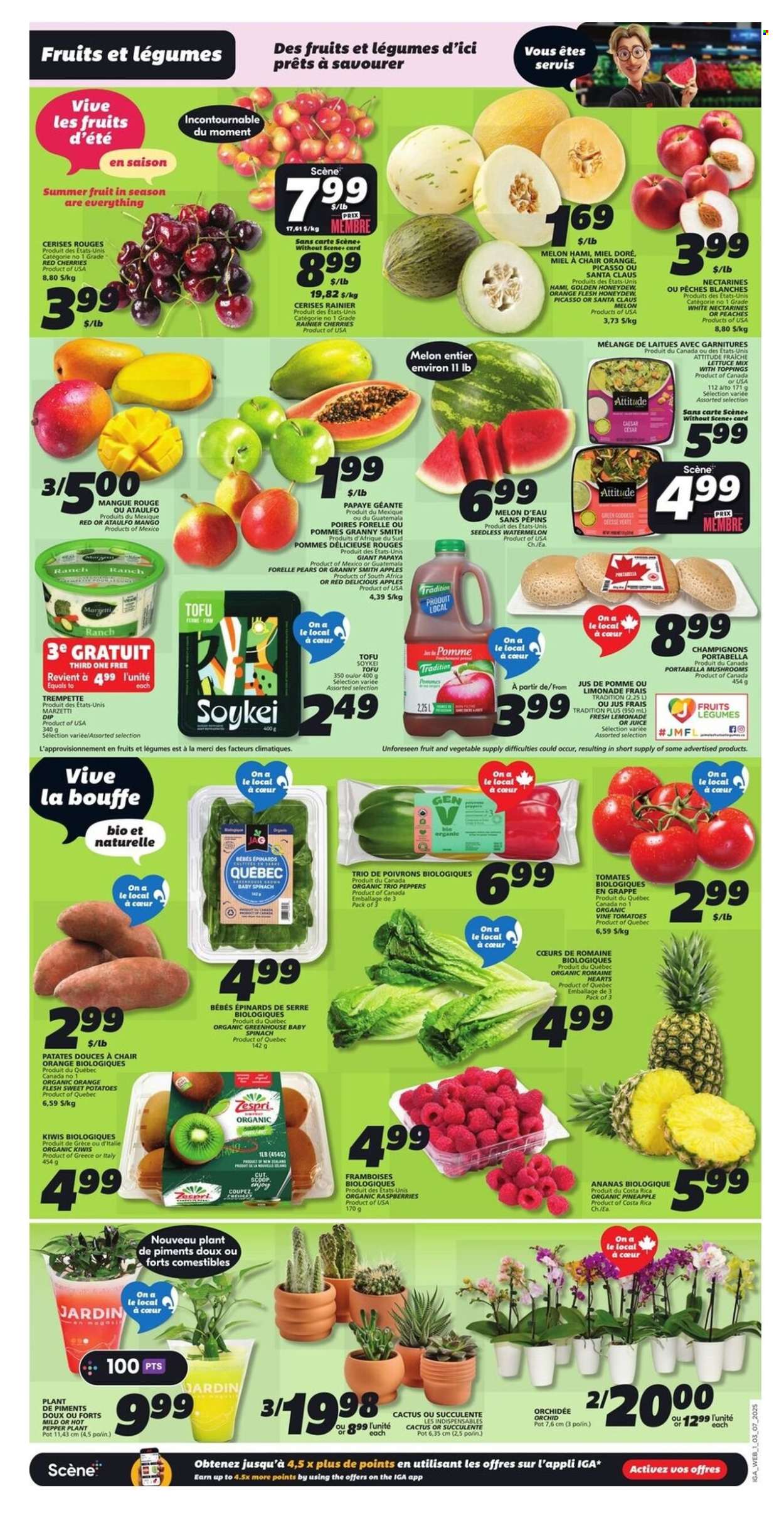 IGA flyer - July 03, 2025 - July 09, 2025. Page 3