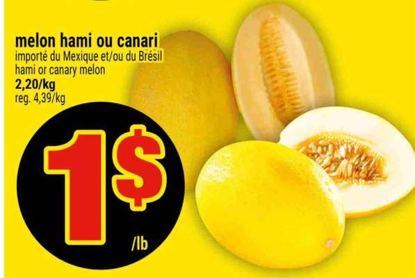 melon hami ou canari
