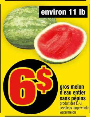 Gros melon d'eau entier sans pépins