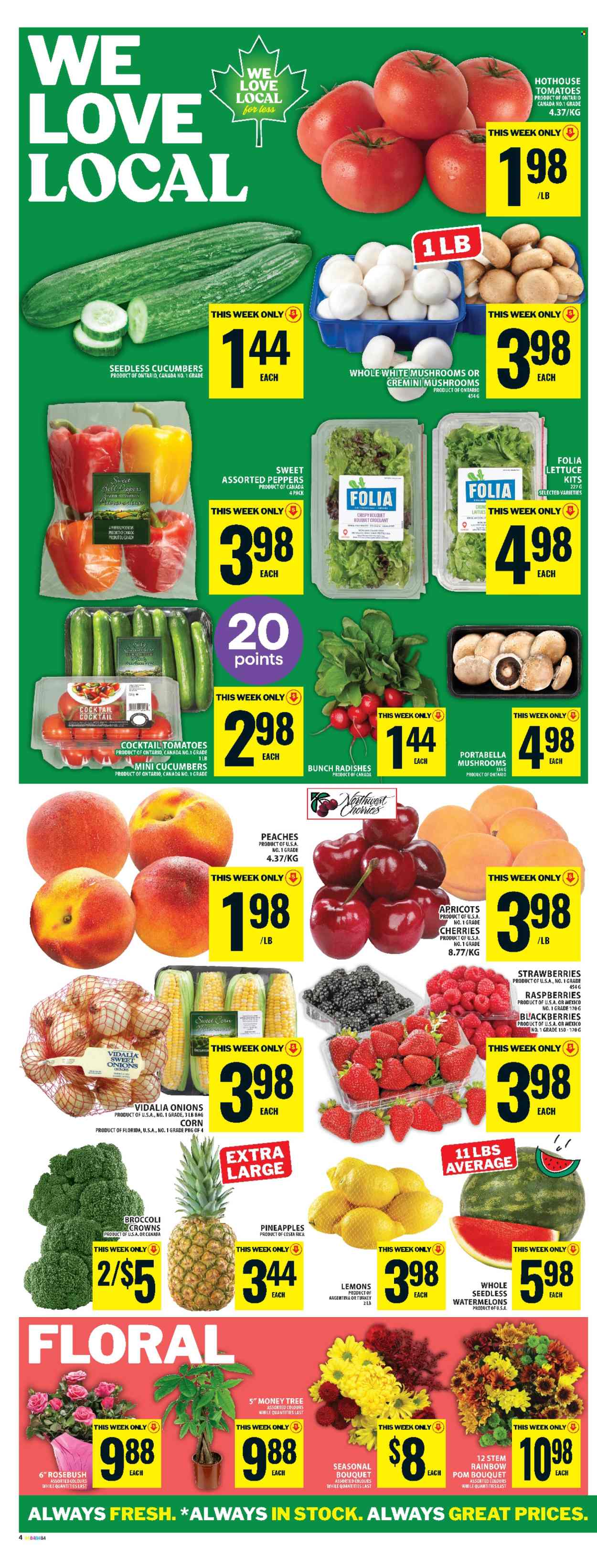 Food Basics flyer - July 03, 2025 - July 09, 2025. Page 13