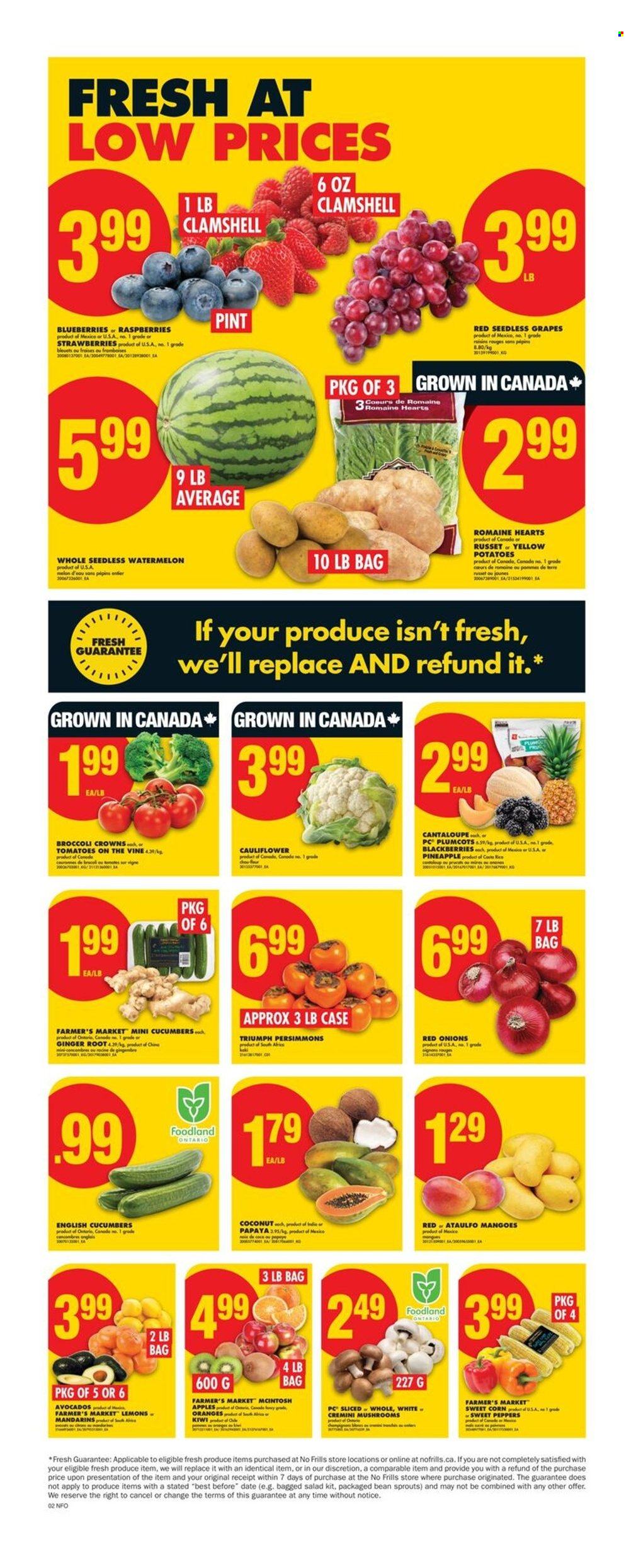 No Frills flyer - July 03, 2025 - July 09, 2025. Page 3