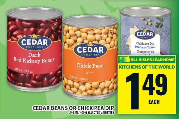Cedar Beans or Chick Pea Dip