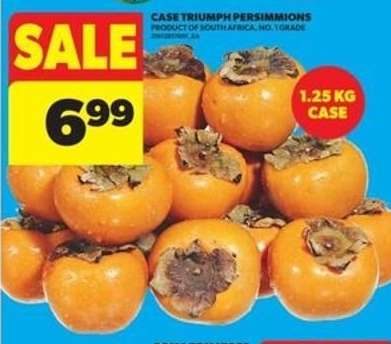 Case Triumph Persimmons