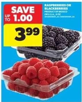 RASPBERRIES OR BLACKBERRIES