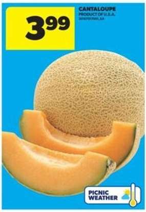 CANTALOUPE