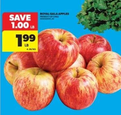 ROYAL GALA APPLES