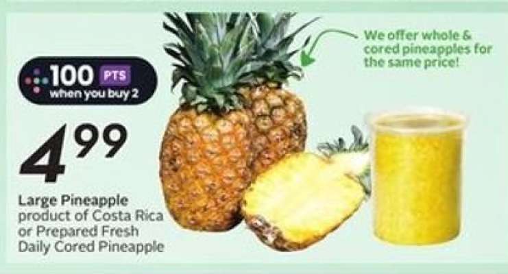 Large Pineapple