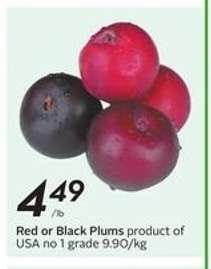 Red or Black Plums