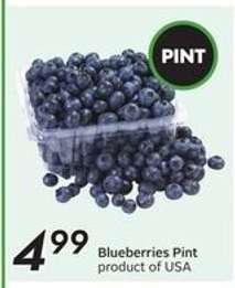 BLUEBERRIES, PINT