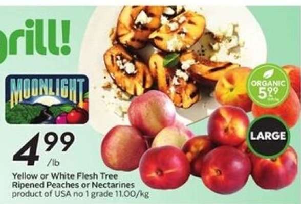 Yellow or White Flesh Tree Ripened Peaches or Nectarines