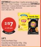 LAY'S FAMILY SIZE POTATO CHIPS