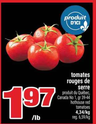 TOMATES ROUGES DE SERRE