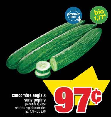 CONCOMBRE ANGLAIS SANS PÉPINS